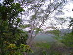 Dsc00331.jpg