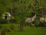 Dsc00335.jpg