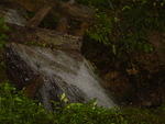 Dsc00336.jpg