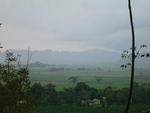 Dsc00338.jpg