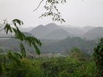 Dsc00339.jpg