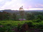 Dsc00346.jpg