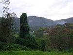 Dsc00347.jpg