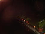 Dsc00354.jpg