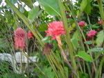 Dsc00358.jpg