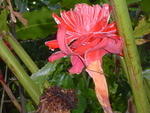 Dsc00359.jpg