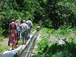 Part of the Nature Walk