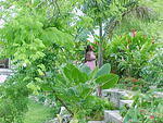 MVC_002F_006.jpg