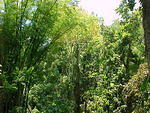 MVC_003F_001.jpg