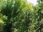 MVC_004F_001.jpg