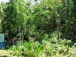 MVC_005F_001.jpg