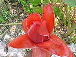 MVC_005F_002.jpg