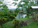 MVC_007F_006.jpg