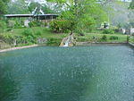MVC_007F_008.jpg