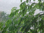 MVC_007F_009.jpg