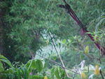 MVC_007F_010.jpg