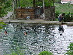 MVC_008F_006.jpg