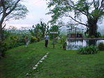 MVC_008F_007.jpg