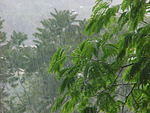 MVC_008F_009.jpg