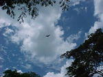 MVC_008F_013.jpg