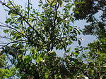 MVC_009F_001.jpg