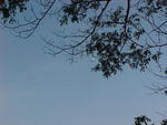 MVC_009F_007.jpg