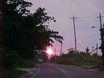 MVC_010F_010.jpg