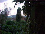MVC_013F_005.jpg