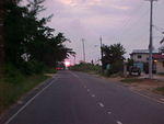 MVC_013F_008.jpg