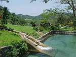 Jaccuzi