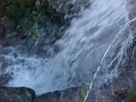 MVC_015F_004.jpg