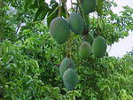 MVC_003F_003.jpg
