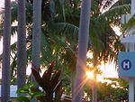 MVC_005F_001.jpg