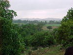 MVC_005F_005.jpg