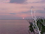 MVC_008F_001.jpg