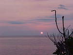 MVC_009F_001.jpg