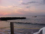 MVC_018F_003.jpg
