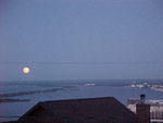 Mvc_002f_004.jpg