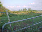 Mvc_002f_005.jpg