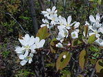 Mvc_004f_001.jpg