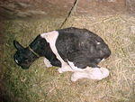 Mvc_004f_003.jpg