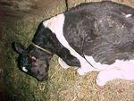 Mvc_005f_003.jpg
