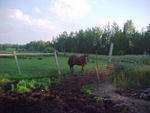 Mvc_005f_007.jpg