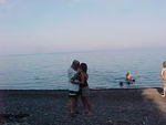 Misty and Pirate in Duluth