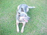 Mvc_012f_005.jpg