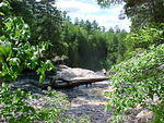 Mvc_006f_001.jpg