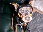 Mvc_005f_001.jpg