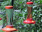 Mvc_006f.jpg