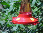Mvc_008f.jpg