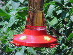 Mvc_009f.jpg